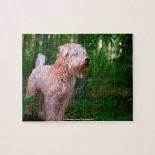 Our Wheaten Terrier Our Family Pet Jigsaw Puzzle