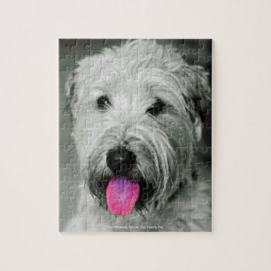 Our Wheaten Terrier Our Family Pet Jigsaw Puzzle