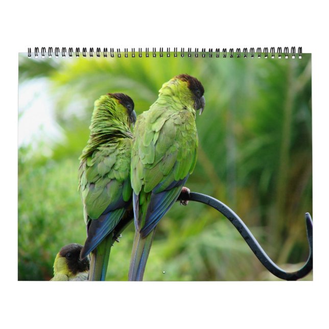 Our Yard Calendar (Cover)