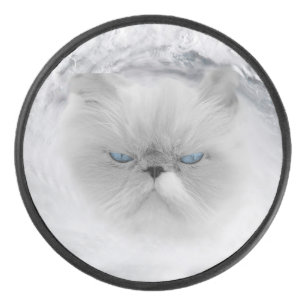 Ouragan Cat 5