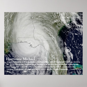 Ouragan Michael Poster