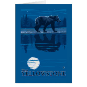 Ours au clair de lune - West Yellowstone, Montana
