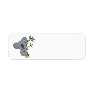 Ours de koala