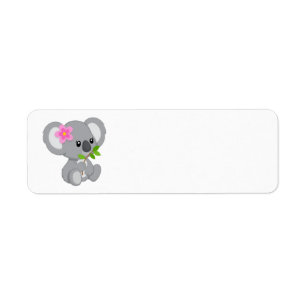 Ours de koala mignon