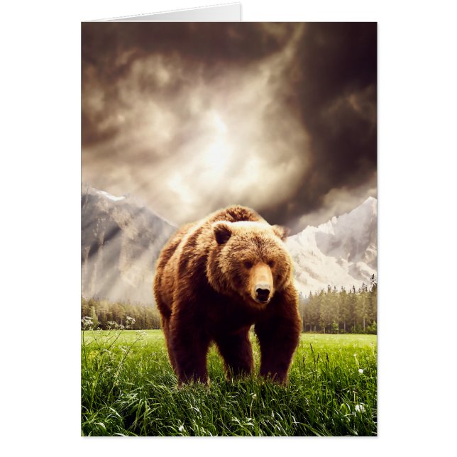 Ours de montagne (Devant)