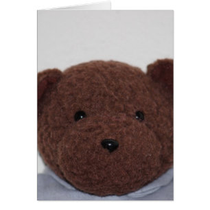 Ours de nounours de Daddys