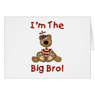 Ours de nounours grand Bro