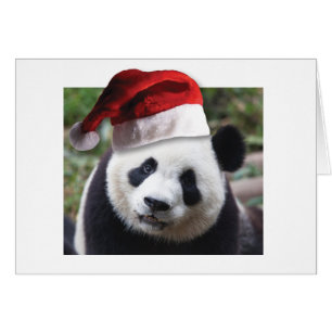 Ours de panda Noël
