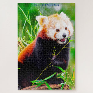 Ours De Panda Rouge. Jigsaw Puzzle