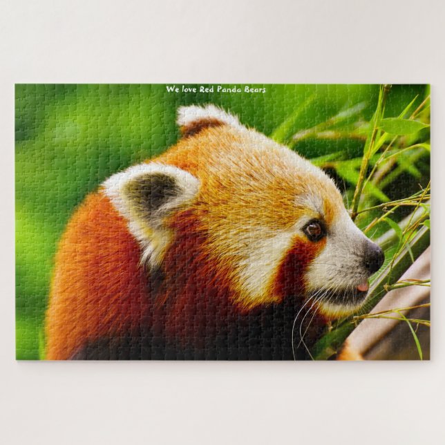 Ours De Panda Rouge. Jigsaw Puzzle (Horizontal)