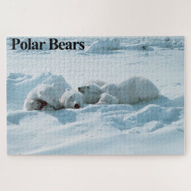 Ours dormant Polaire Puzzle (Horizontal)