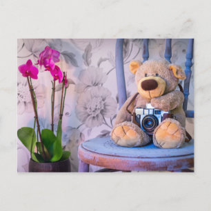 Ours en peluche avec carte postale