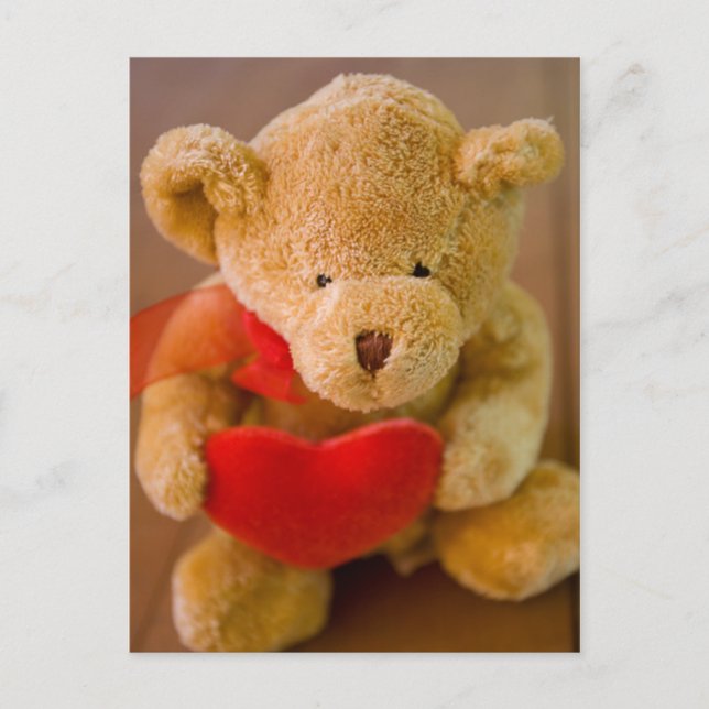 Ours en peluche farci tenant une carte postale (Devant)