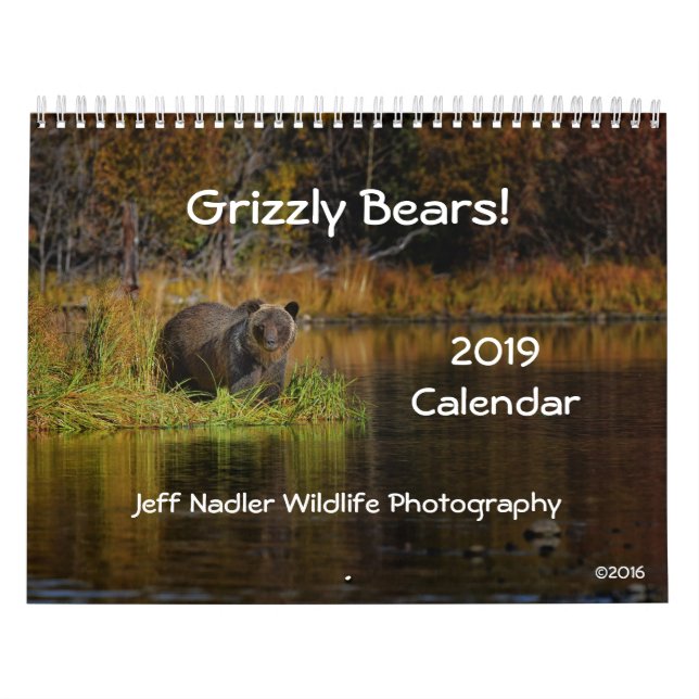 Ours gris - calendrier mural 2019 (Protection)