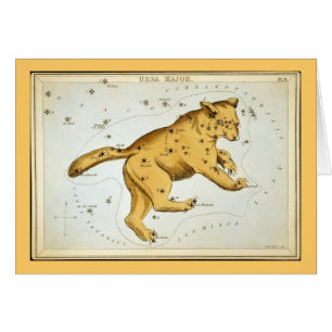 Ours majeur de l'Ursa vintage
