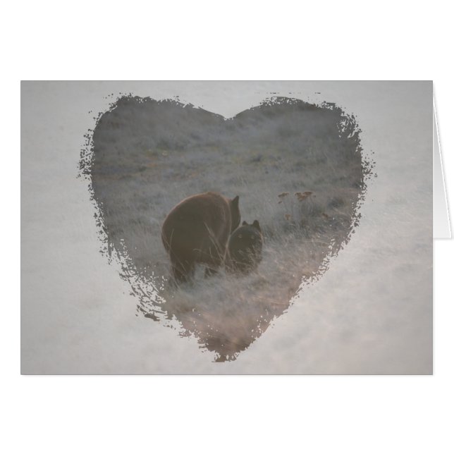 Ours marchant au coucher du soleil (Devant horizontal)