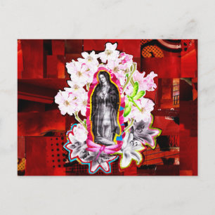 Ours Mrs. of Guadeloupe (Our Lady of Guadeloupe) Postcard