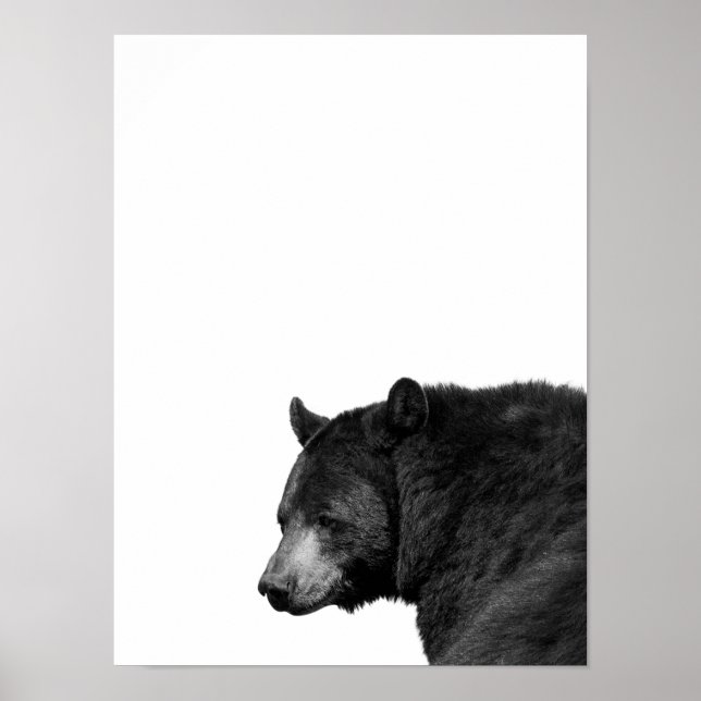 Ours Noir Blanc Affiche Photo de la Cabane de la N (Devant)