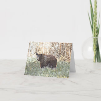 Ours noir Brown - Carte blanche