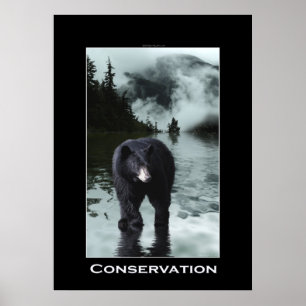 Ours noir CONSERVATION de la faune Poster