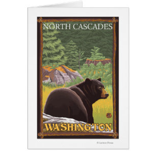 Ours noir en forêt - Cascades du Nord, Lashingto