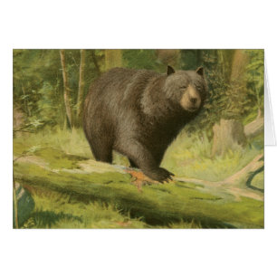 Ours noir faisant un pas sur un tronc d'arbre