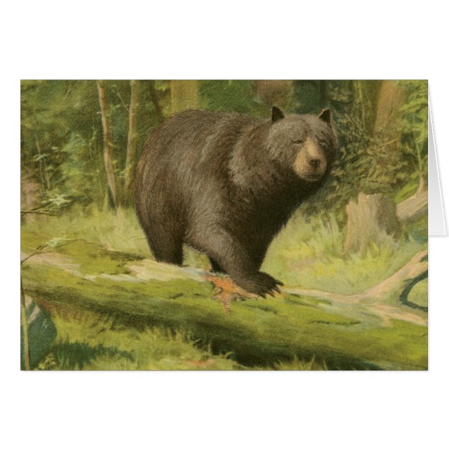 Ours noir sur un tronc d'arbre (Devant horizontal)