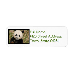 Ours panda géant mignon