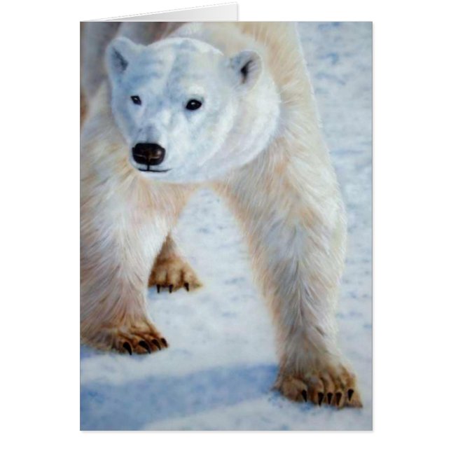 Ours polaire (Devant)