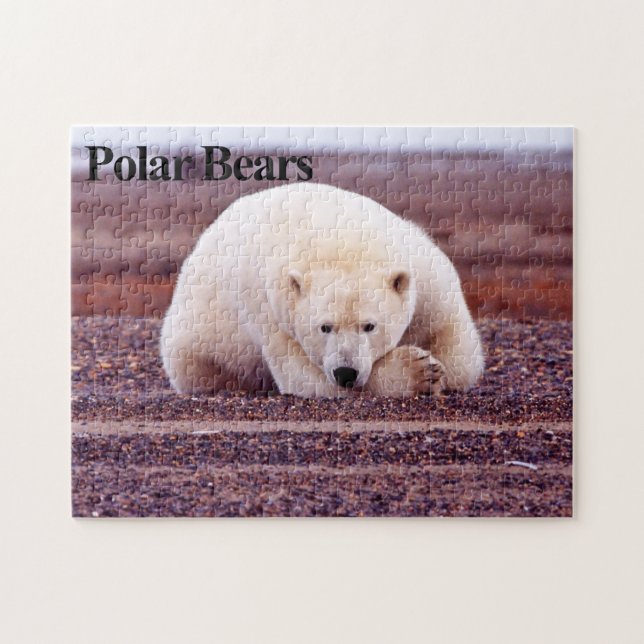 Ours polaire 7 Puzzle (Horizontal)