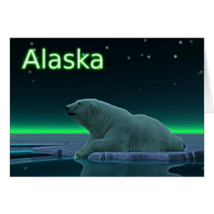 Ours polaire à bord de glace