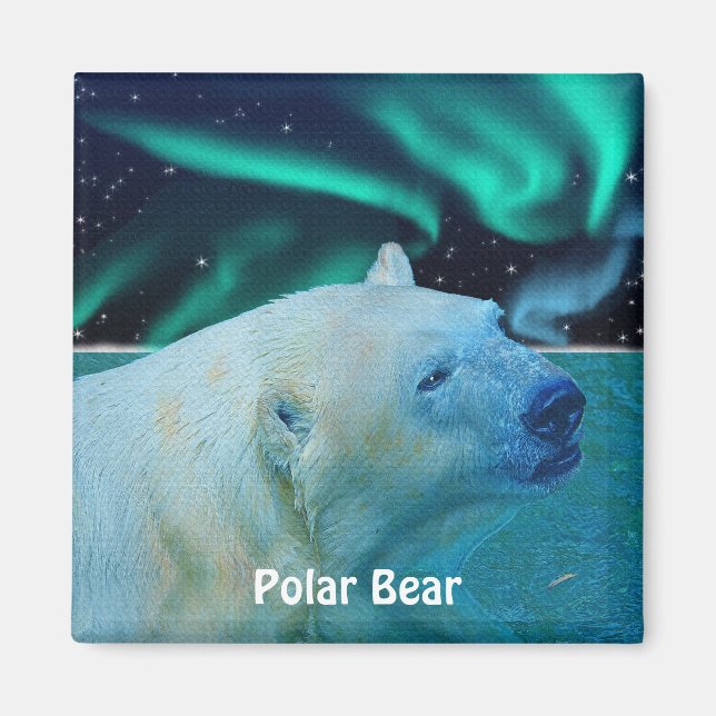Ours polaire et Aurora Arctic Wildlife Art Magnet (Devant)