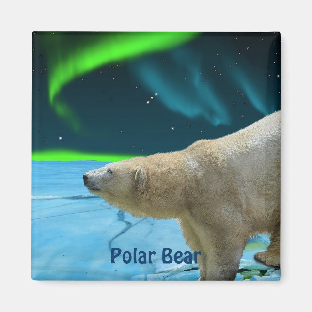 Ours polaire et Aurora Arctic Wildlife Art Magnet (Devant)