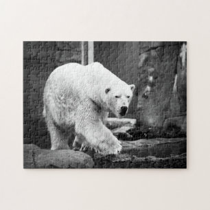 Ours polaire grandiose, puzzle