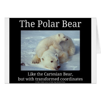Ours polaire Ours cartésien