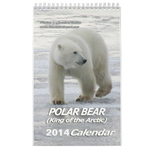 OURS POLAIRE Roi de l'Arctique Calendrier 2014 1-P