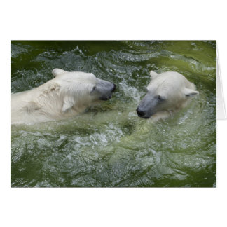 Ours polaires amusants à l'eau