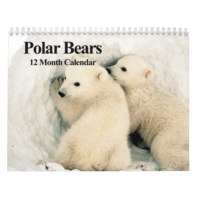Ours polaires - Calendrier des 12 mois (Protection)