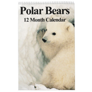 Ours polaires - Calendrier des 12 mois