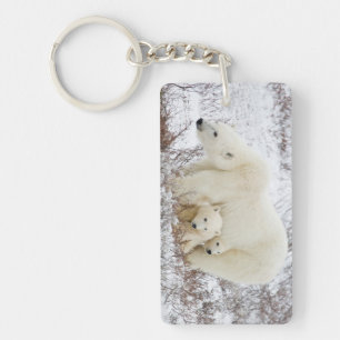 Ours polaires femelle et deux oursons