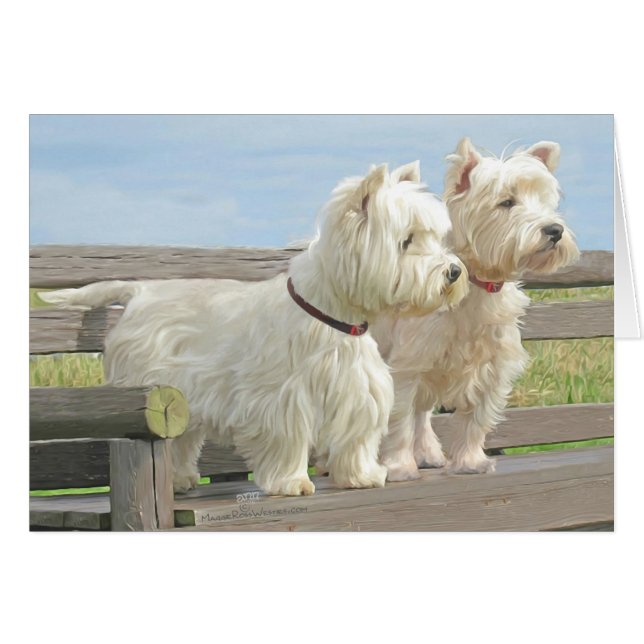 Out Exporting (Devant horizontal)