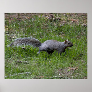 Out for a Run Poster