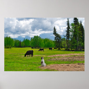 Out in the Pasture Poster