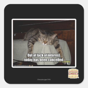 Out of lack of interest square sticker