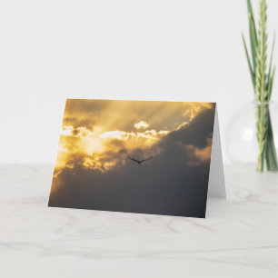 Out Of The Sun Bald Eagle Card