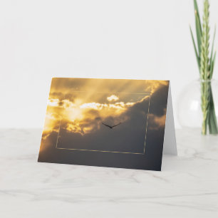 Out Of The Sun Bald Eagle With Border Card