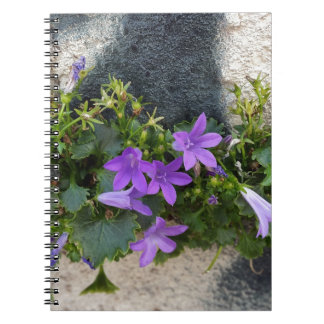 out of the wall flower notebook