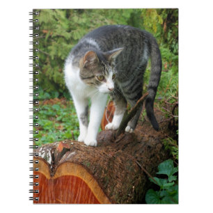 Out on a Cat Walk  -  Kitty Notebook