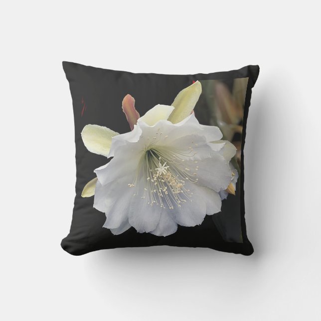 Outdoor pillow 16 x 16 (Front)