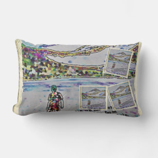 outdoor pillow with PSM 121-1 and ISA 12-3 